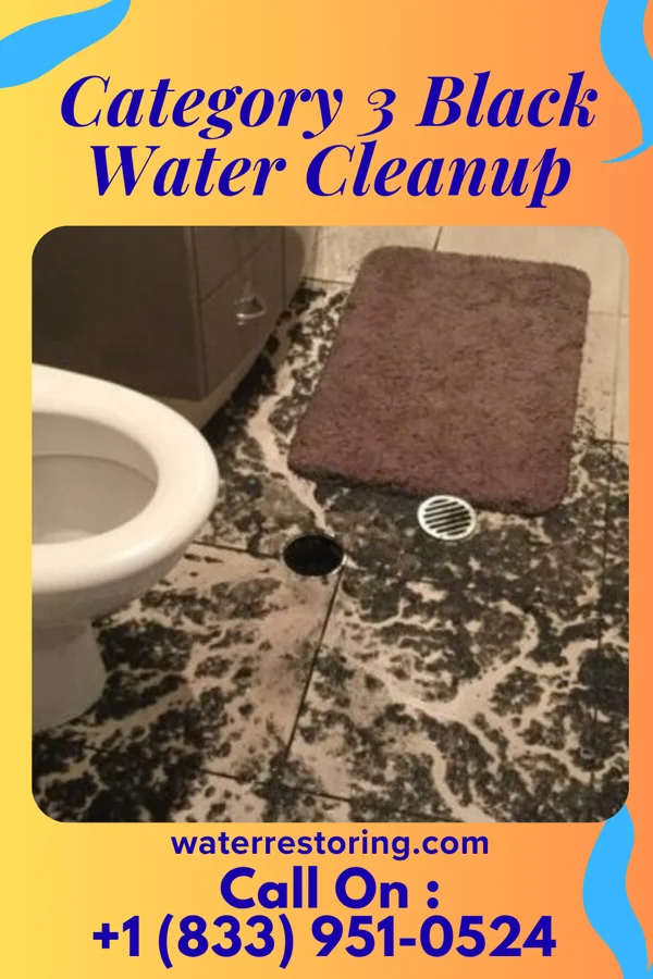 Category 3 Black Water Cleanup in Maryland Park, MD